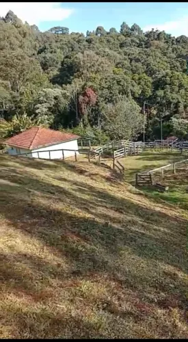 Um Lugar Exuberante na Mantiqueira! Chácara de 48.400m², Delfim Moreira -MG