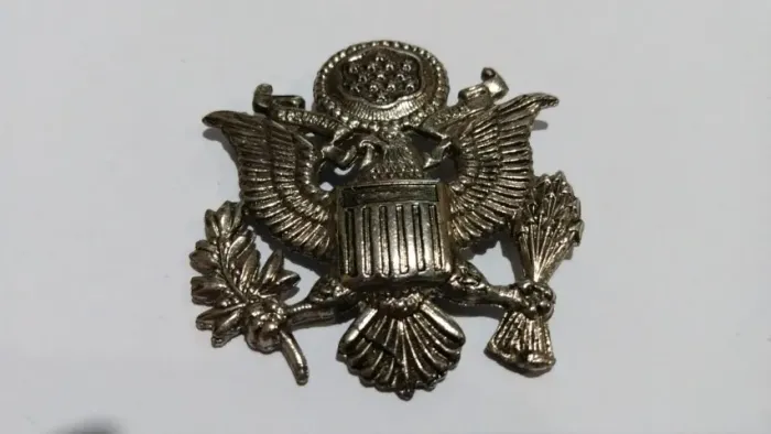 Insígnia broche da força aérea norte-americana