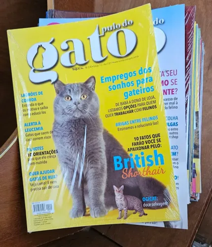 Revistas Pulo do Gato 72 unidades - curiosidade e diversão 