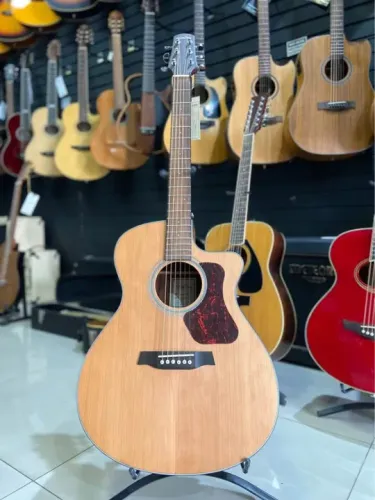 Violão Walden G570ce novo tampo sólido