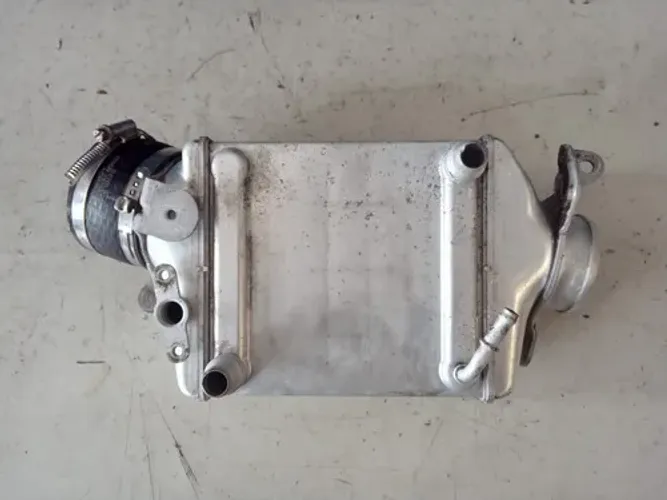 Intercooler Turbina Esquerda Bmw X6 4.4 V8 Biturbo 2012 4258