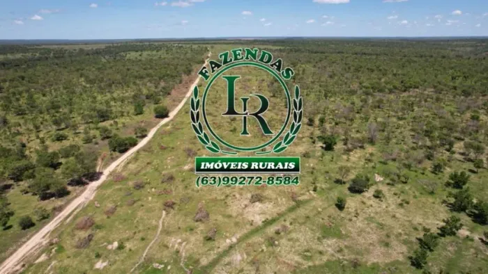 Fazenda Bruta de 118 alqueires ou seja 572 hectares, Dupla aptidão