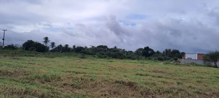 Vendo excelente terreno em Conceição do jacuipe 