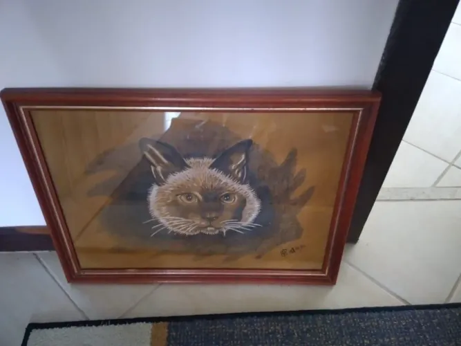 Quadro Artesanal de Gato