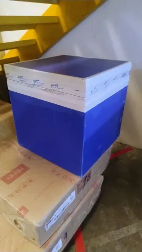 Vendo caixa térmica Biotron de?60?litros