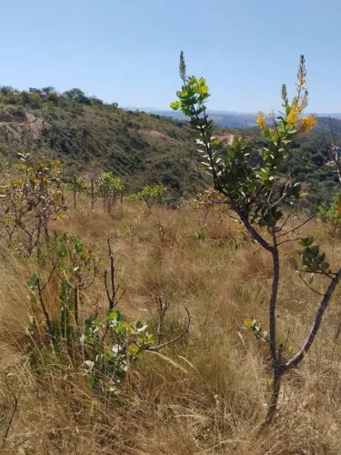 Terreno em Jaboticatubas 