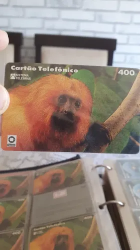 Mídia Pioneira Telebras "Mico Leão Dourado" Eco 93 fabricante Casa da Moeda do Brasil