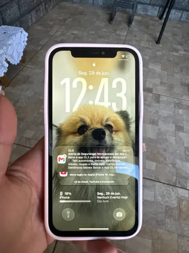 iPhone 12