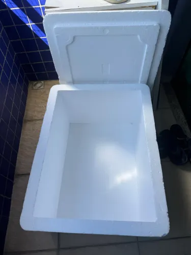 Caixa de isopor de 120L