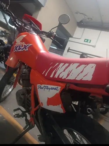 XLX 250 R