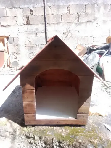 Casinha de cachorro