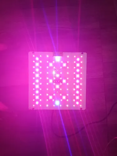 Led