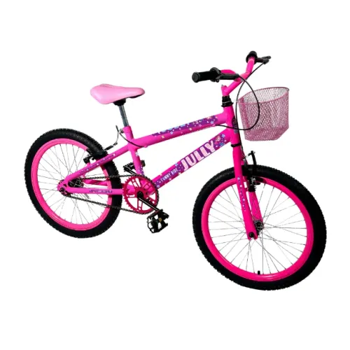 Bicicleta Infantil Aro 20 - Feminina 