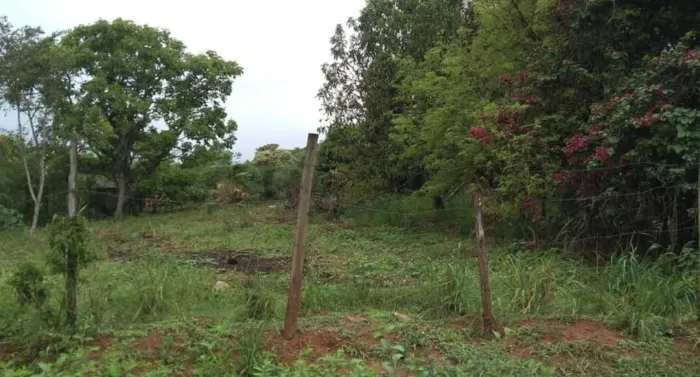 Terreno Morada Nova