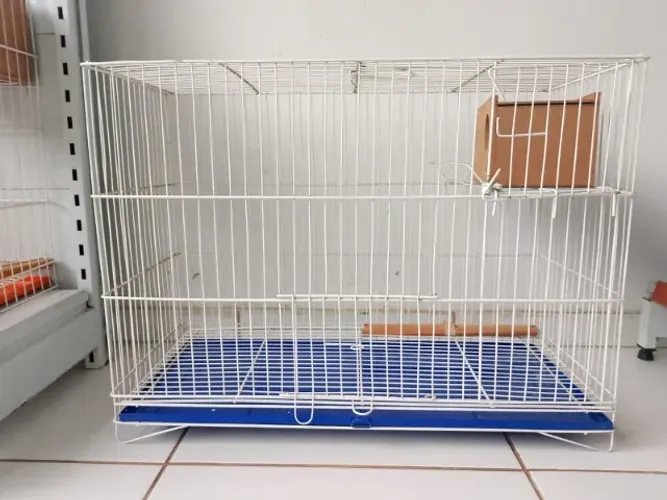 GAIOLA PARA AGAPONIS