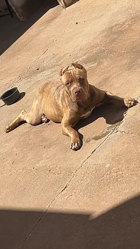 Pit monster *