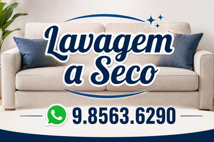 Lavagem A seco