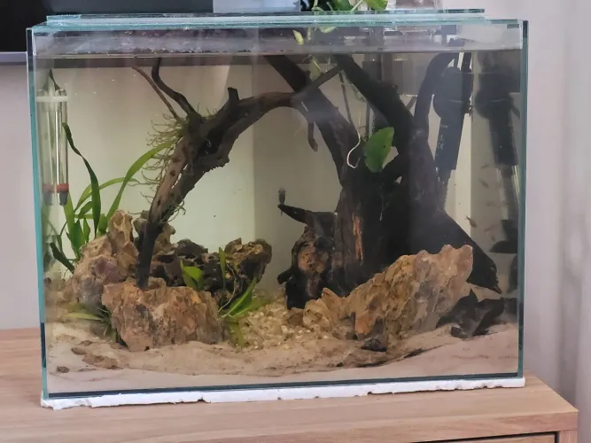 Aquario 16L vidro curvo
