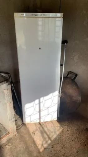 Freezer vertical