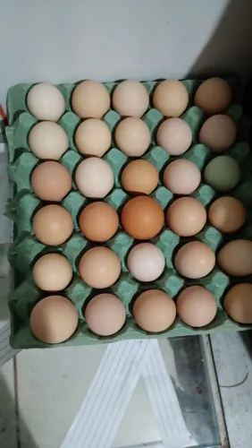 Ovos caipira 