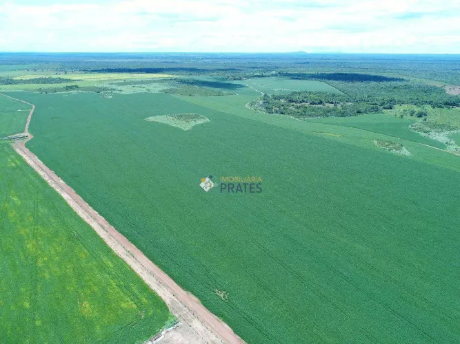 Fazenda Peixes/TO