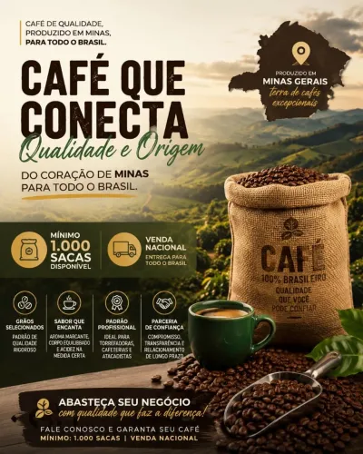 Grãos de Café disponível 