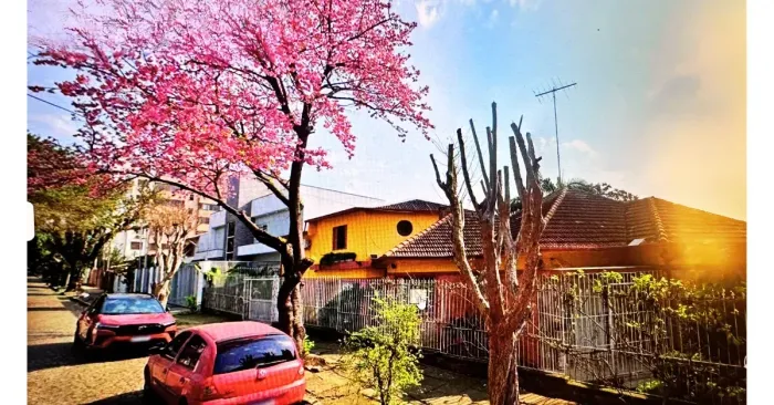 Casa para Morar e Trabalhar a 9 Minutos do Shopping Iguatemi
