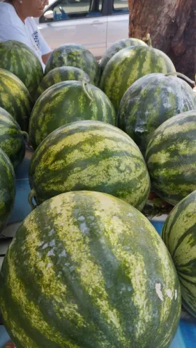 Melancia ? no atacado acima de 50 unidades 4.00