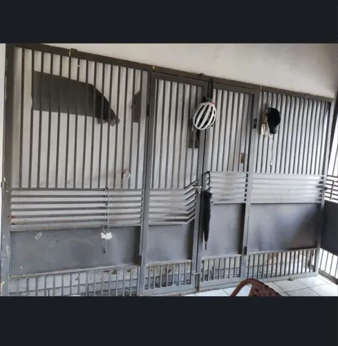Portão Semi Novo