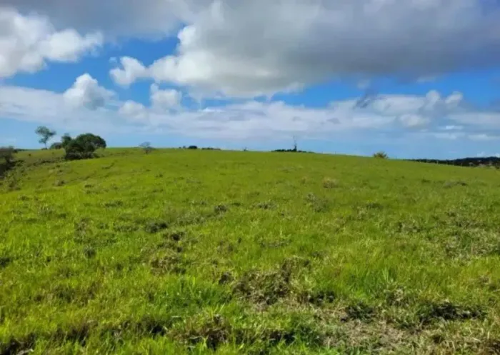 **INVESTIMENTO AGRO IMPERDÍVEL EM PERNAMBUCO! 103 HECTARES COM PREÇO DE OCASIÃO!**