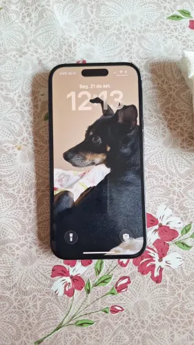 Celular IPhone 15 Usado - Só Trocar Bateria!