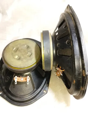 par selenium 6x9 40w 8 ohms reformado