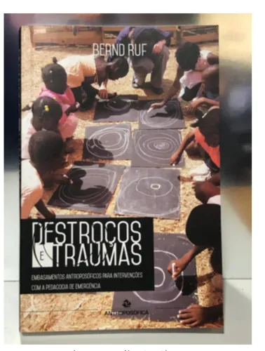 Destroços e traumas -Embasamentos a Antroposoficos - PEDAGOGIA DE EMERGENCIA