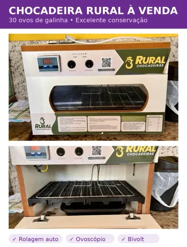 Chocadeira rural 30 ovos