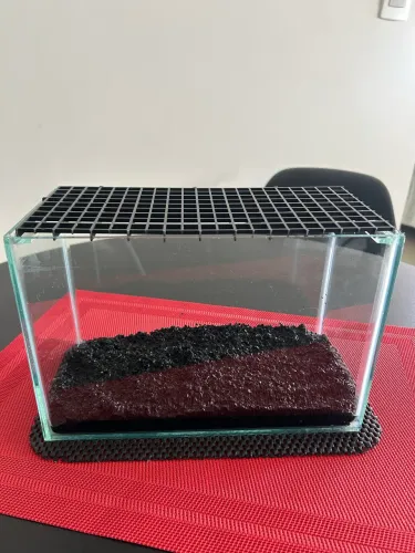 Aquário 4,5 litros
