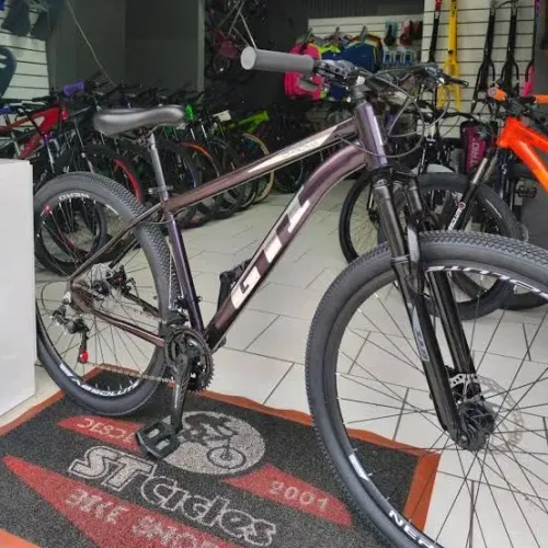 Bicicleta aro 29