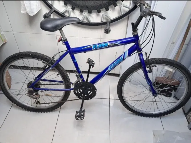 Bicicleta