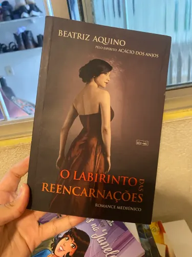 Livro o labirinto e suas reencarnações 