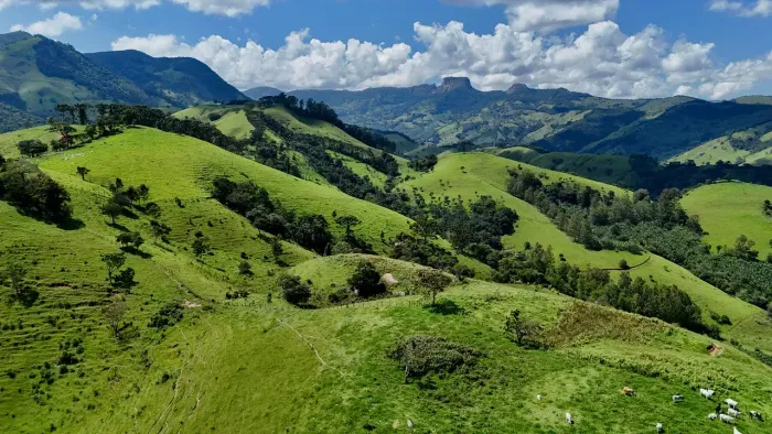 Terrano com 14,49ha no bairro da Fervura em São bento do Sapucaí - SP
