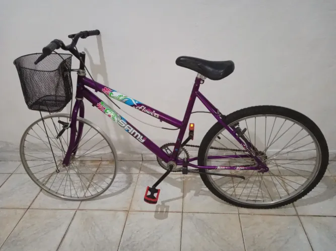 Bicicleta Aro 24