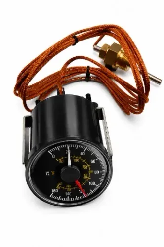 Termostato jumo Atlas Copco