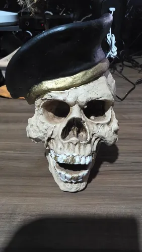 Caveira em resina