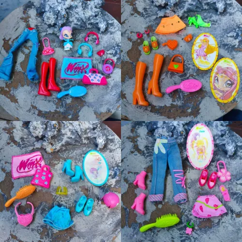 Winx itens