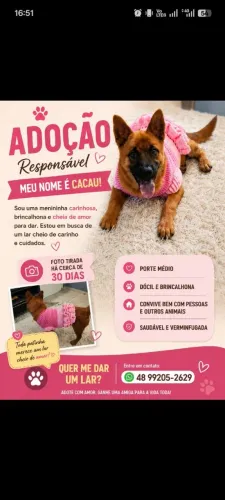 Adoção responsável 