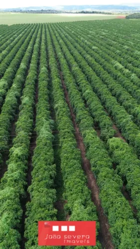 Fazenda para Venda em Patos de Minas