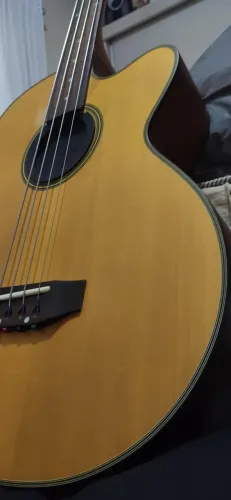 Baixolão Strinberg 4 cordas Fretless