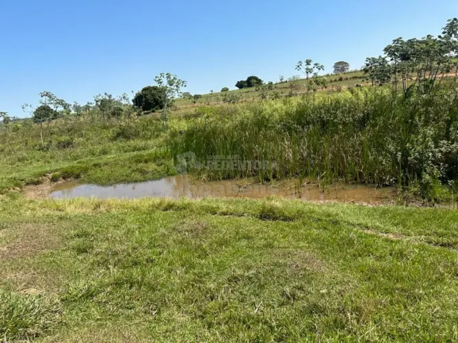 Sitio à Venda - Santa Fé do Sul