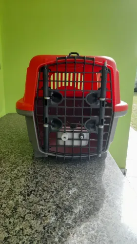 Transporte para cachorro.
