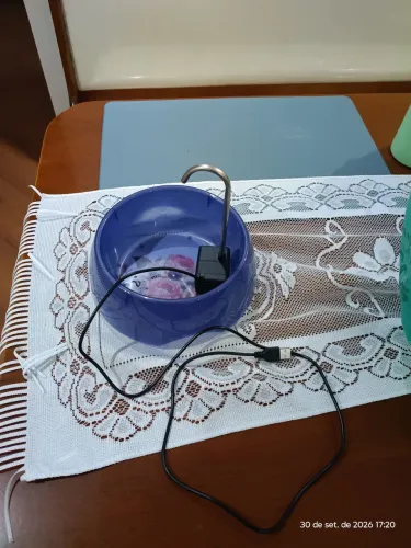 Fonte de água para gatos