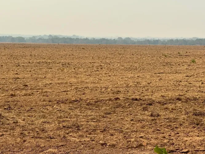 Fazenda 8.700hec com 3.500 abertos em alto da Boa Vista MT. R$:70 milhões